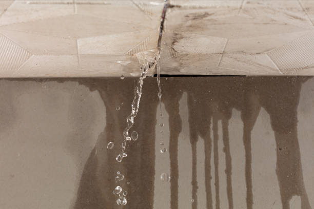 Professional Burst Pipe Cleanup technician working in Weston, OH